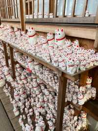 Gotokuji Temple 😸 วัดแมวกวักนำโชคในโตเกียว