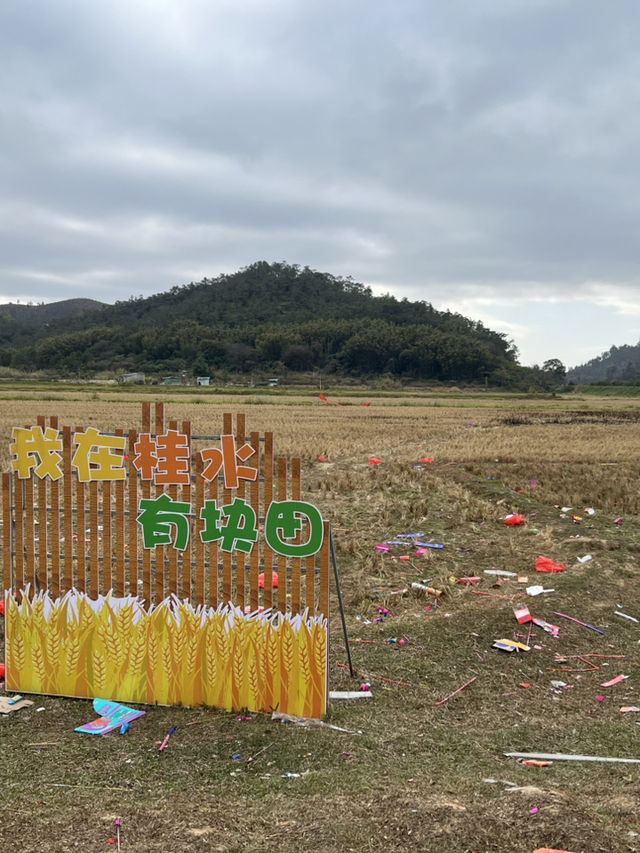 台山酒店推介