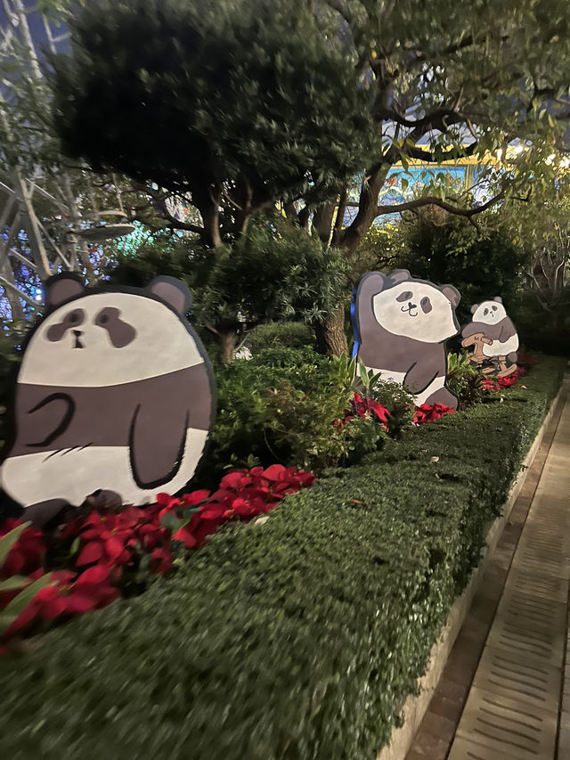 情人節好去處@海洋公園