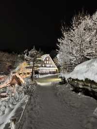 Hida folk village