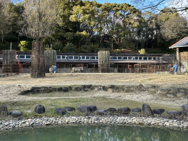 🇯🇵【愛媛県】子連れ旅行におすすめ！スタンプラリーが楽しい動物園🦁