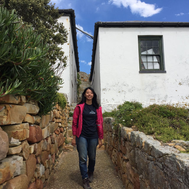 開普角之旅X壯麗美景與歷史探索