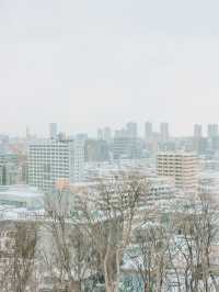 2 Days in Sapporo: A Winter Wonderland Adventure