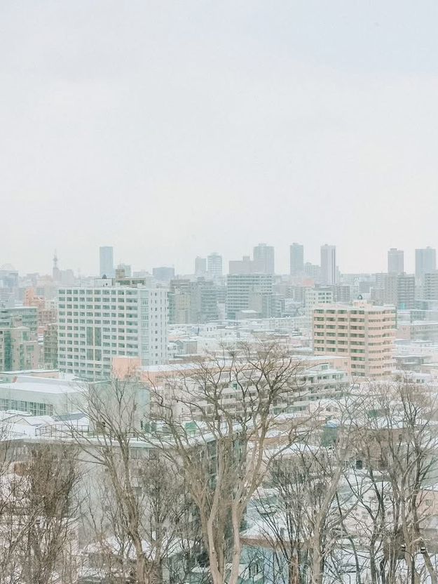 2 Days in Sapporo: A Winter Wonderland Adventure