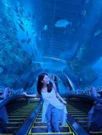 บึงฉวาก สวรรค์ของคนรักปลา 🐟🐠