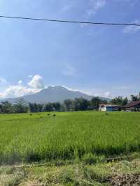 A Road of Color: The Joy of Driving Through Redjang’s Villages 🚗🎨 