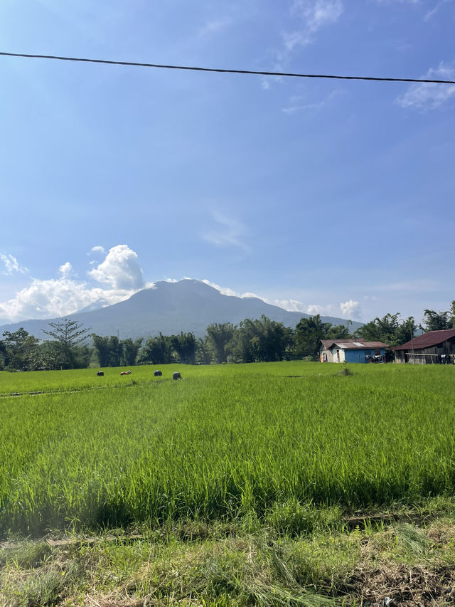 A Road of Color: The Joy of Driving Through Redjang’s Villages 🚗🎨 