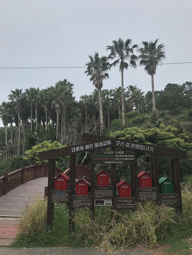 제주 올레길 7코스 함께 걸어요🚶🏻‍♀️