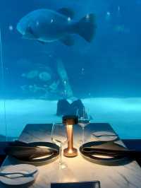 A Unique Dining Experience at Aquadining by Cebu Ocean Park