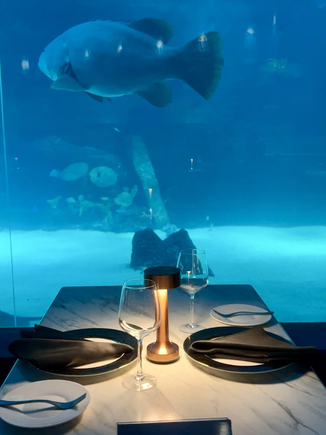 A Unique Dining Experience at Aquadining by Cebu Ocean Park