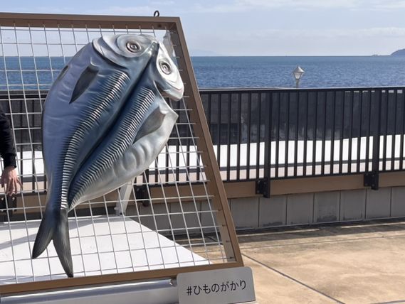 漁港の駅 TOTOCO小田原@小田原🐟