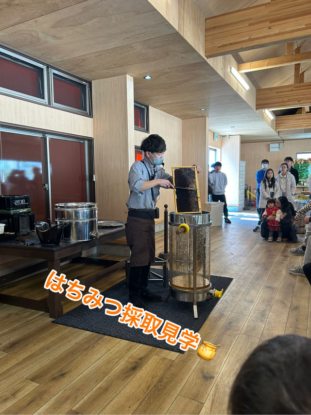 え！これ無料なの！？はちみつ好き必見！
