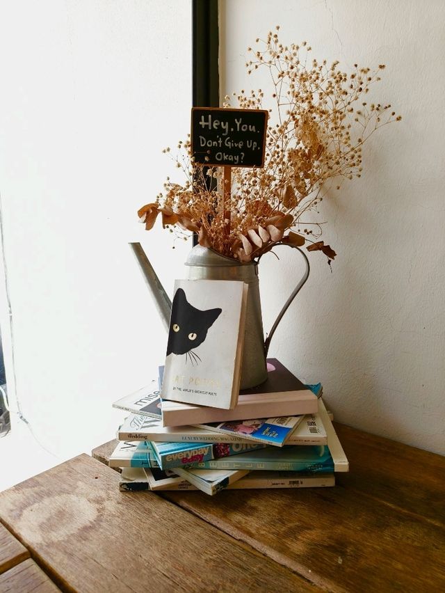 A Cozy Café Escape in Little City 