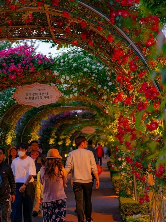 most visited for rose lover