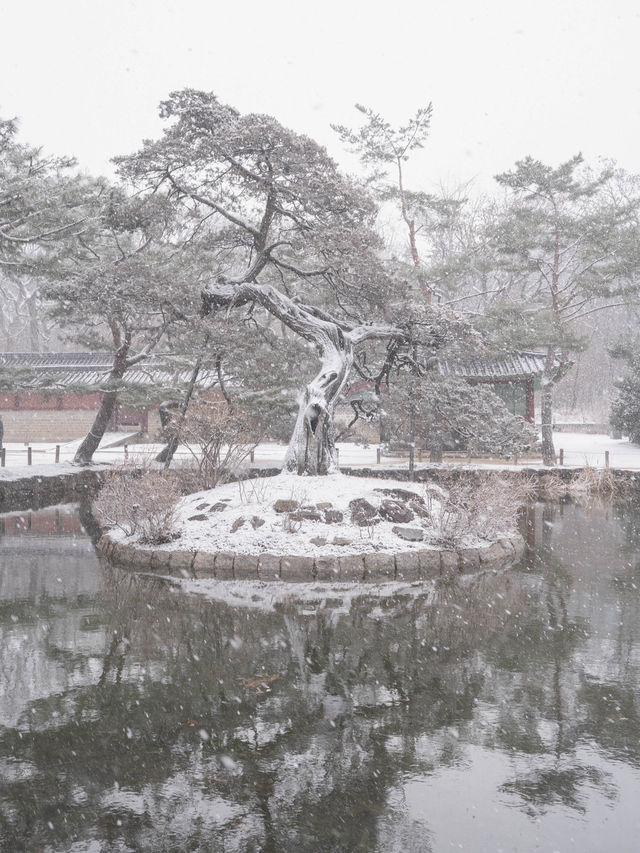 정적인 분위기 속 자연의 조화를 느낄 수 있는 “서울 종묘”