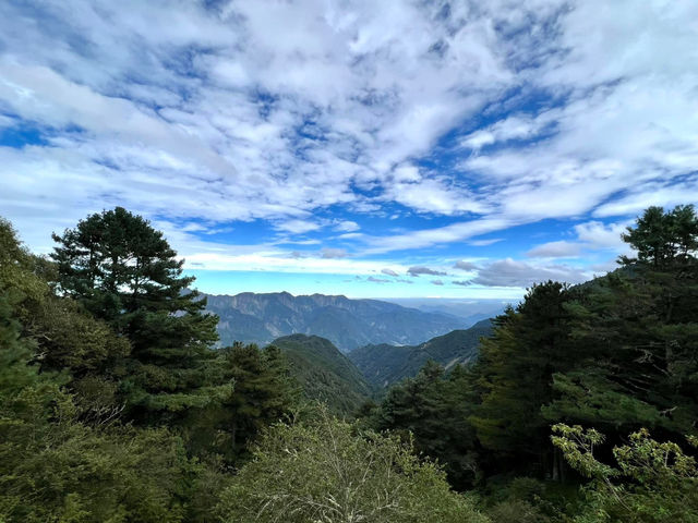 來場森林浴～大口森呼吸！