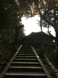 Fushimi Inari "The Thousand Gates"