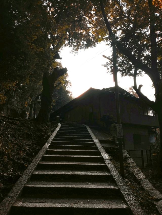 Fushimi Inari "The Thousand Gates"