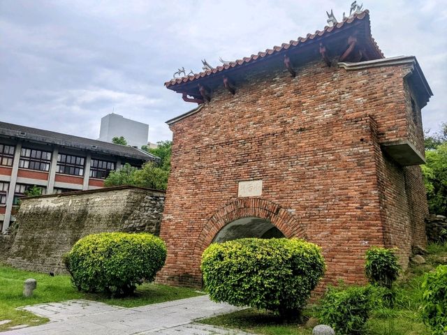 成大榕園，大學校園內親子放風的好所在