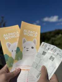 Alpaca World @ Korea