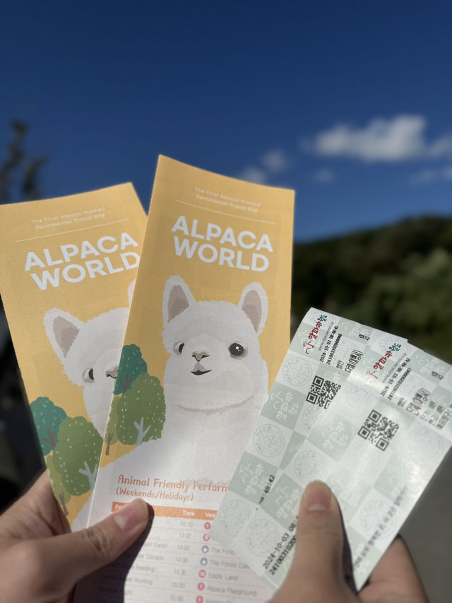 Alpaca World @ Korea