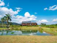 เที่ยวสุราษฎร์บรรยากาศภาคเหนือ