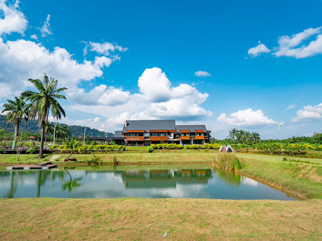 เที่ยวสุราษฎร์บรรยากาศภาคเหนือ