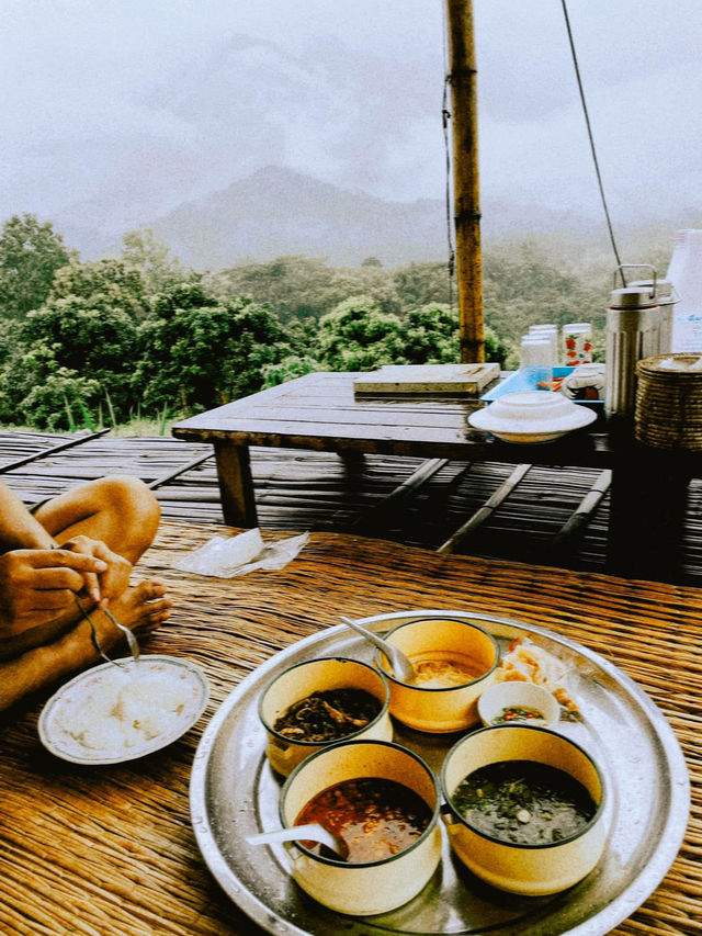 • ป่า โป่ง ดอย • ที่พักวิวดอยหลวงเชียงดาว