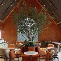 Hillberry Coffee • Khaoyai, Nakhon Ratchasima