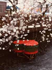The Perfect Spot for Spring Photography!