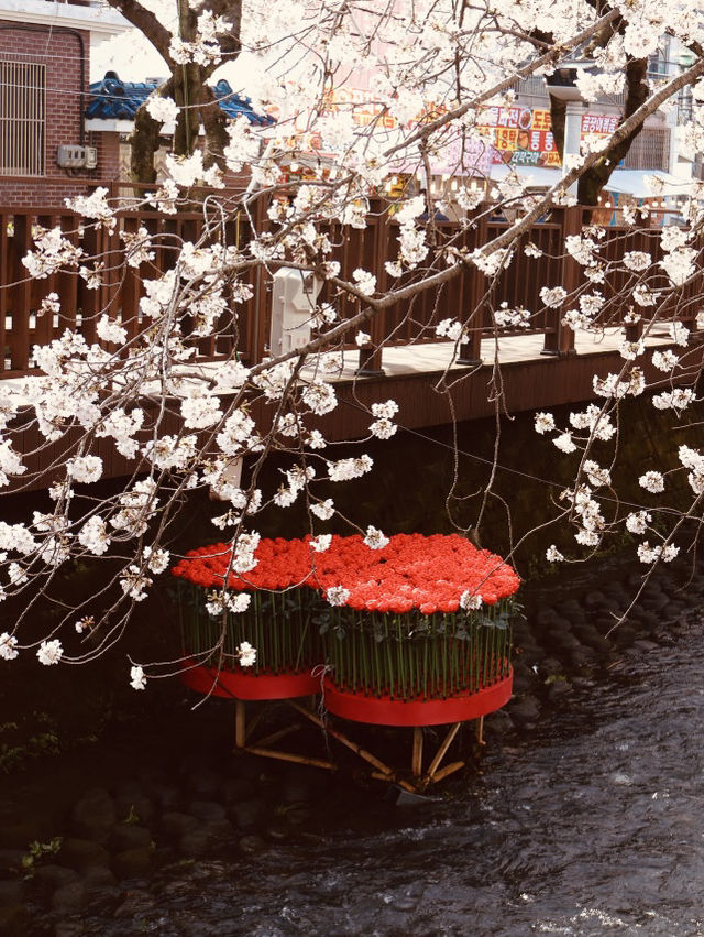 The Perfect Spot for Spring Photography!