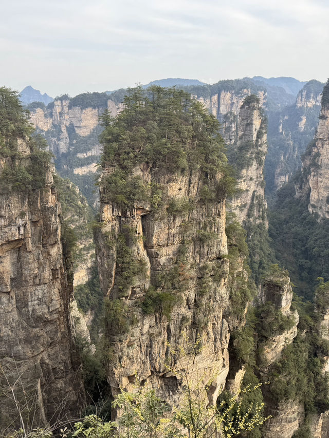 9 Days in Changsha, Zhangjiajie and Fenghuang