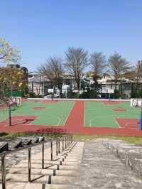 台中沙鹿鎮立公園公園旁的大型籃球場成為年輕人聚集的熱點
