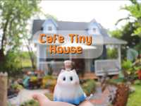 พุดดิ้งน้องแมวที่ Cafe Tiny House 