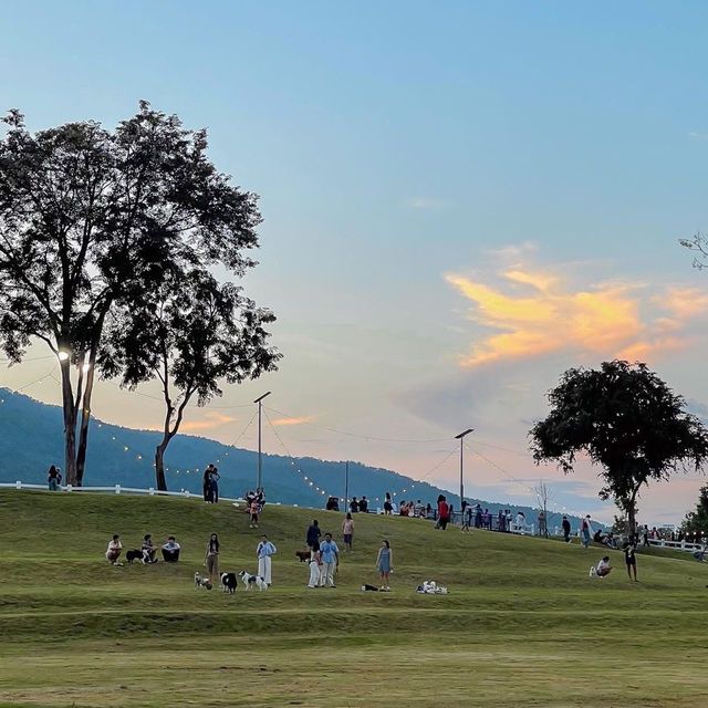 Chaloem Phrakiat Park • Chiangmai  🌿🦖🌨️🌞🌷