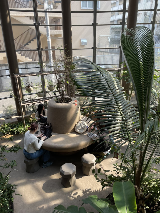 【東京】渋谷にある日本一小さな植物園🪴