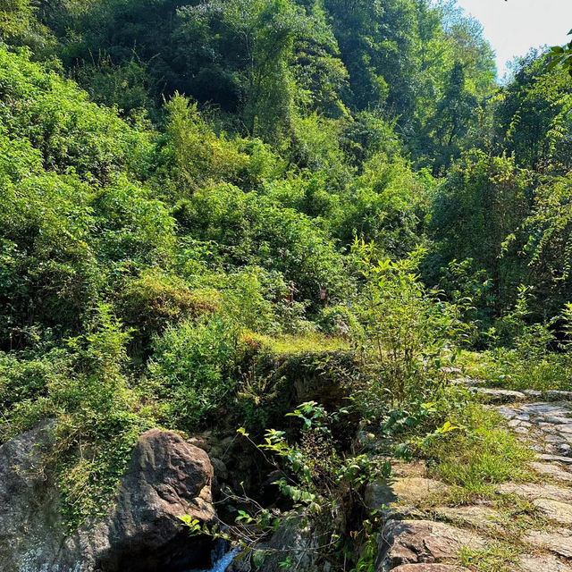 千瀧溝大瀑布•青山秀水