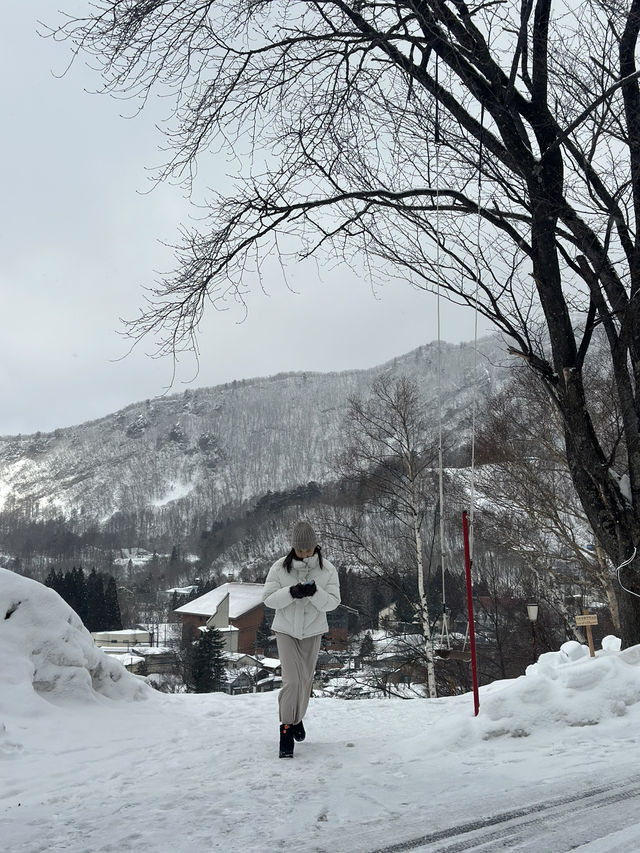 銀山、藏王