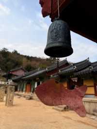 釜山｜金井山梵魚寺傳說 感受佛寺莊嚴與寧靜