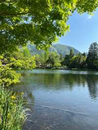 Solo Spring Getaway in Yufuin
