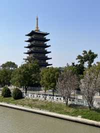 【上海の古刹】500年の歴史ある宝山寺でまったり