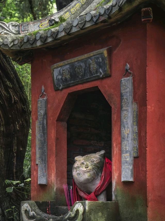 Cat Temple Mianyang