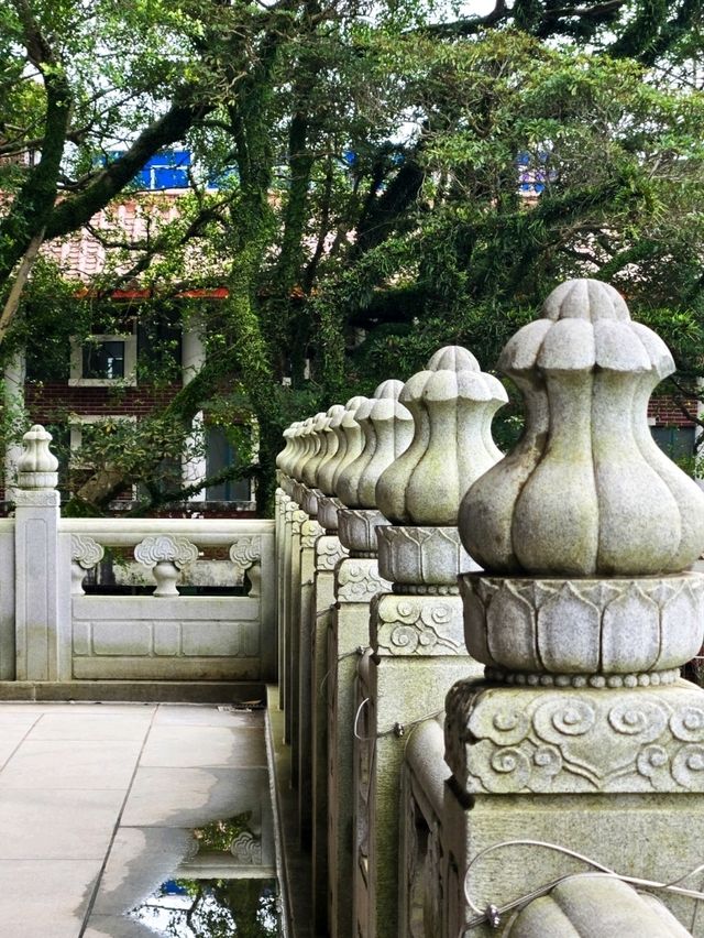 🙏【大嶼山寶蓮禪寺抄經靜心攻略】  