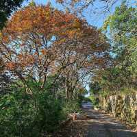 嘉道理農場暨植物園 (Kadoorie Farm and Botanic Garden)