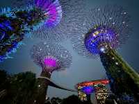 One Day in Singapore: Waterfalls, Lights & Futuristic Gardens