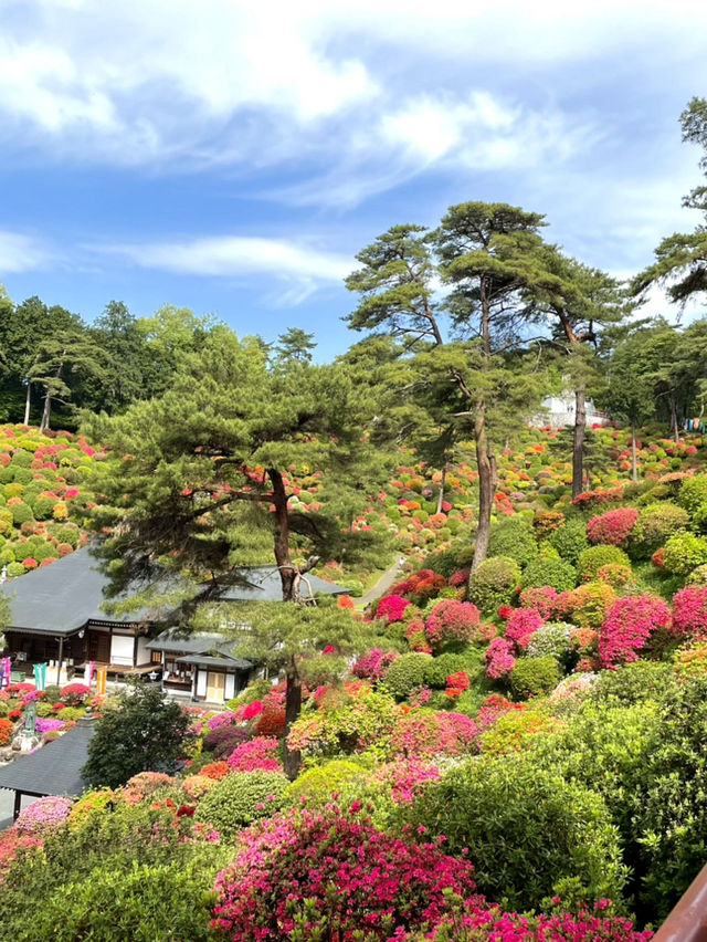 【東京×青梅】