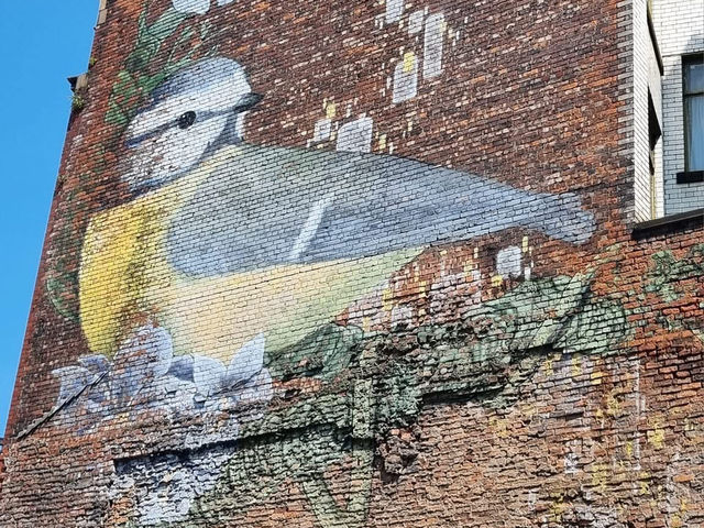 The Northern Quarter 