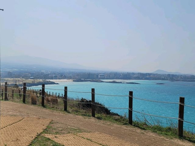 🌼서우봉 – 유채꽃 향기 가득한 봄날의 제주 여행