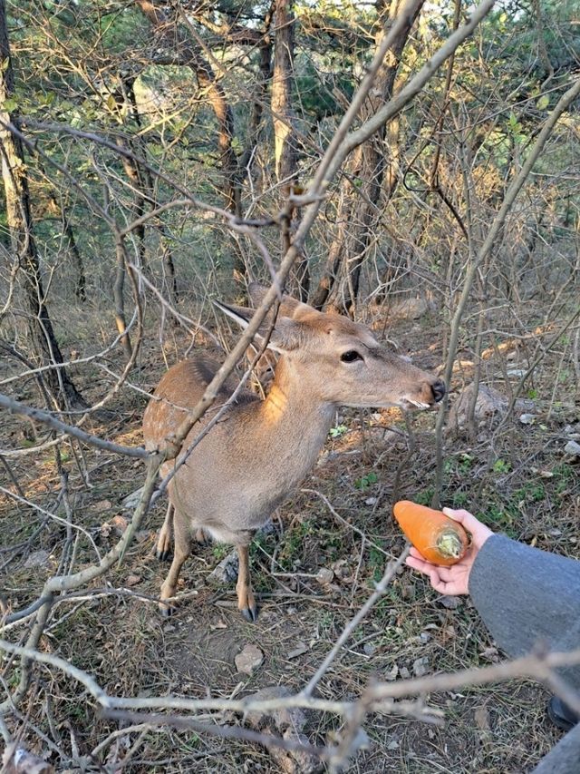도심 속 자연과 조망을 동시에