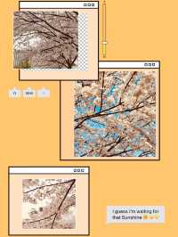 Seoun Park: Incheon's Green Space with Spring Blossom Surprises 